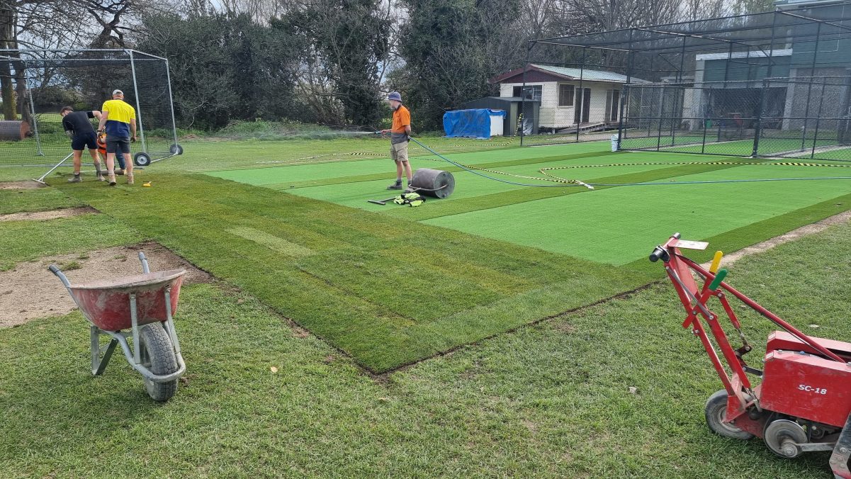 2025 Artificial Nets Renovation